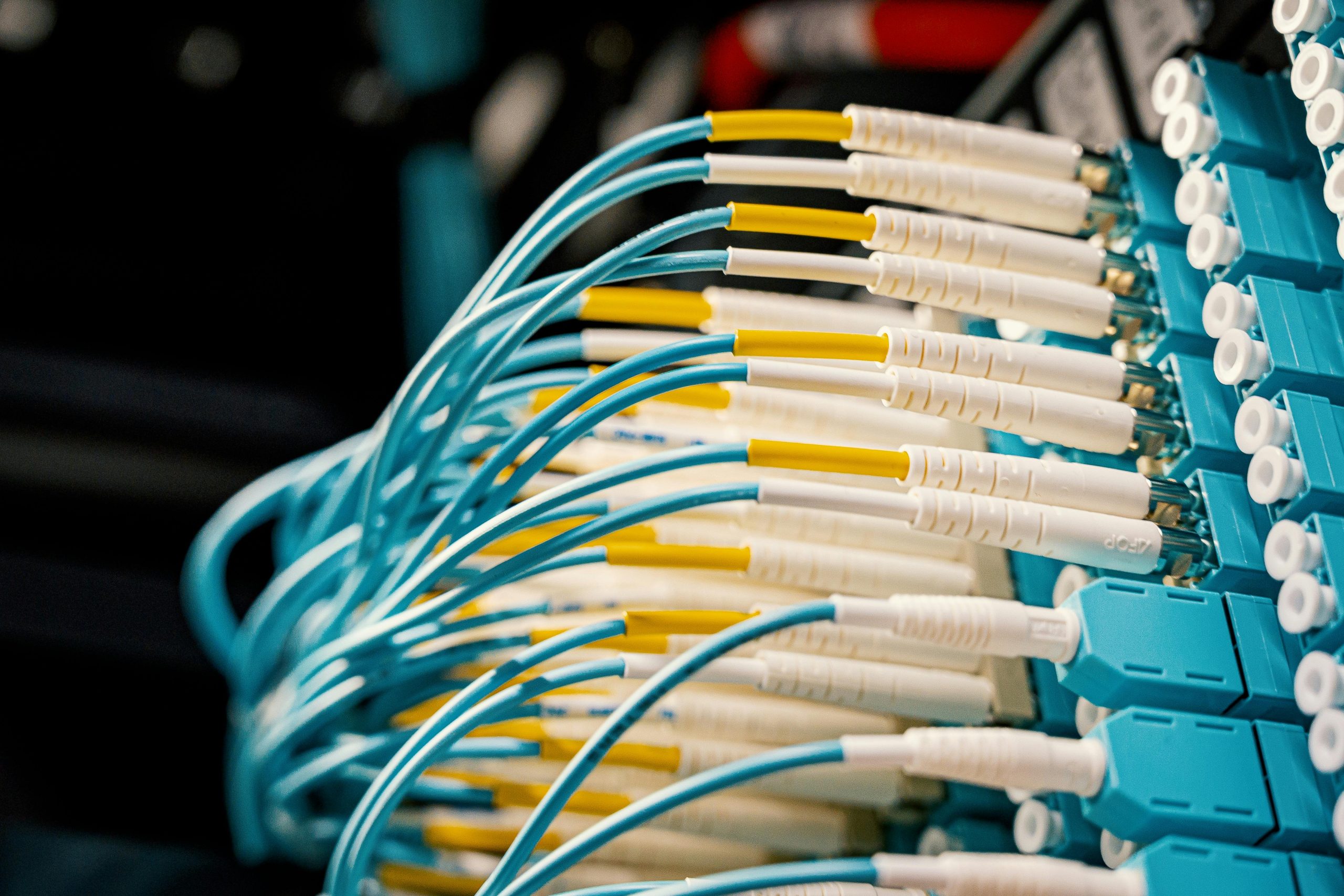 Patch Cables on Panel Blue patch cables plugged into patch panel